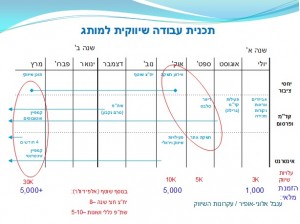 תכנית עבודה מותג (תרשים)